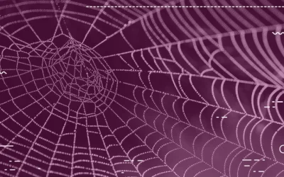 Fortalece tu web con estos recursos y conéctate con más clientes