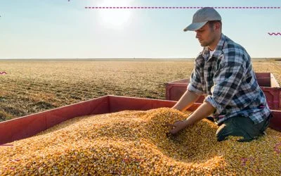 Elimina estos 3 errores para mejorar el rinde de tu blog de agronegocios